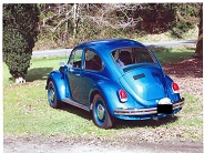 1973 Volkswagon Bug